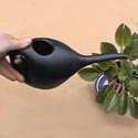 Indoor Watering Can